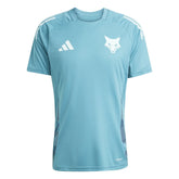 Camisa Cruzeiro 25/26 Treino Adidas Masculina - Azul Turquesa+Branco